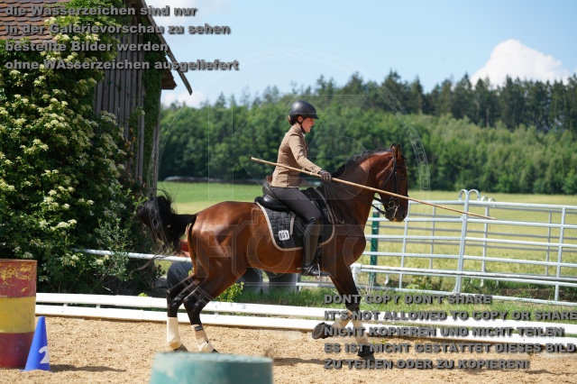s_K3F06787.JPG